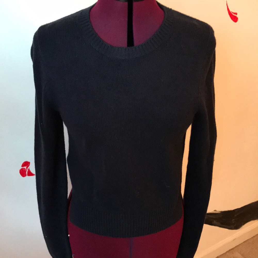 Navy Ann Taylor Sweater